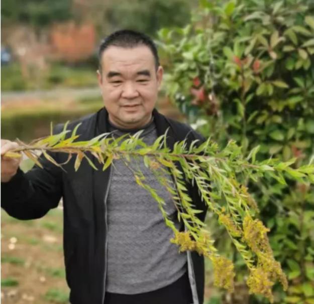 南阳市城市管理局全力清剿“加拿大一枝黄花”