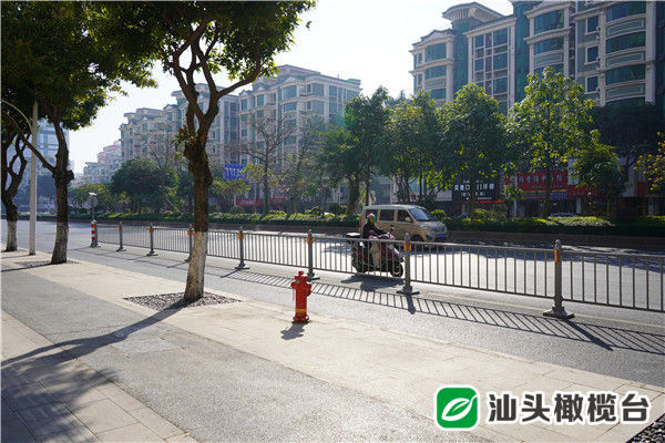 惠民福利棒棒哒！金砂东路（嵩山路—天山路）环境品质提升改造率先完成