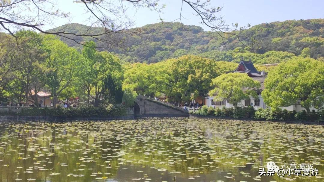 宁波到普陀山一日游最佳方案,宁波普陀山旅游攻略一日游