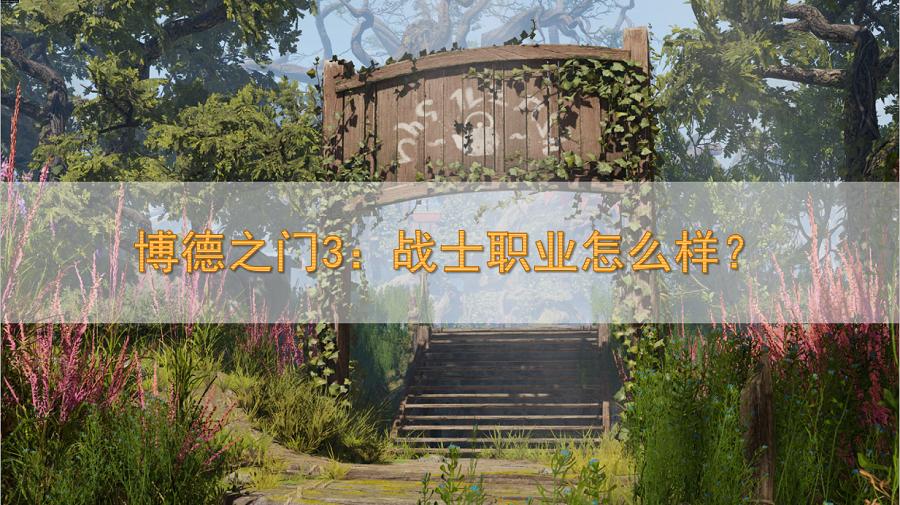 博德之门3职业战士,博德之门3肉盾是什么职业