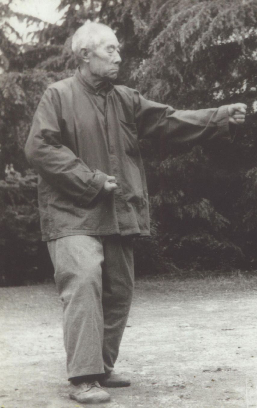 螺旋形意拳,收藏练拳秘笈高手必备