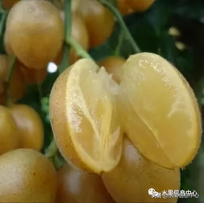 水果天堂：海南水果品种及上市时间表