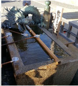 来到日本不能错过章鱼小丸子,去京都不可错过的和服体验