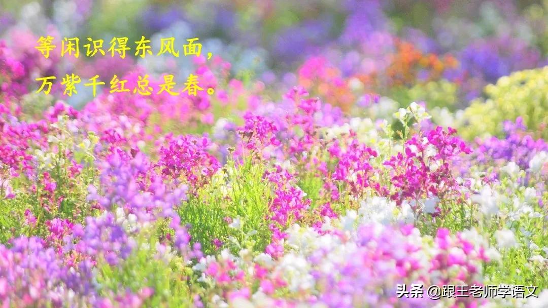 部编二年级下册语文古诗二首预习,二年级下册语文古诗二首知识讲解