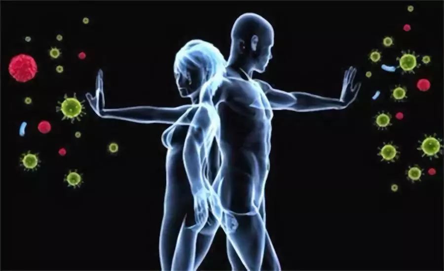 消化循环免疫人体最重要的系统,如何维系消化系统的健康功能