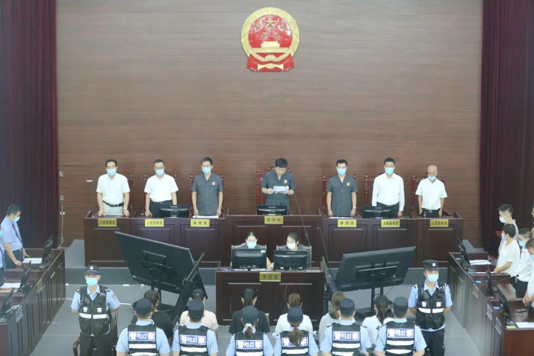 假医生假护士,假医生与真护士