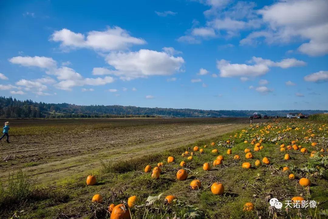 徕卡m10p电影摄影评测,徕卡相机m10r评测