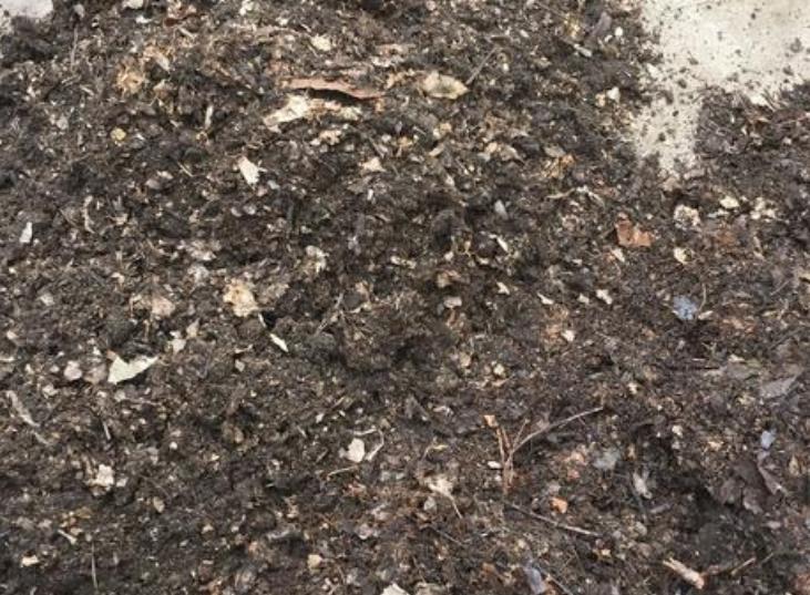 给君子兰换盆可以加上点草木灰吗,如何给君子兰换盆在冬季