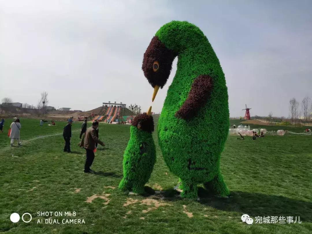 南阳老徐,河南南阳老徐最新视频