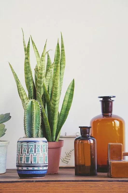 家庭药瓶花瓶插花教程,药瓶子插花