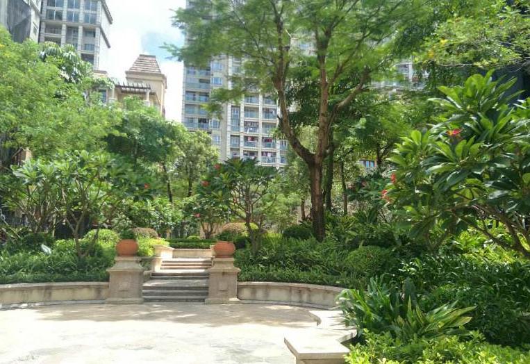 深圳富人奢侈生活,深圳富人区有钱人真实感受