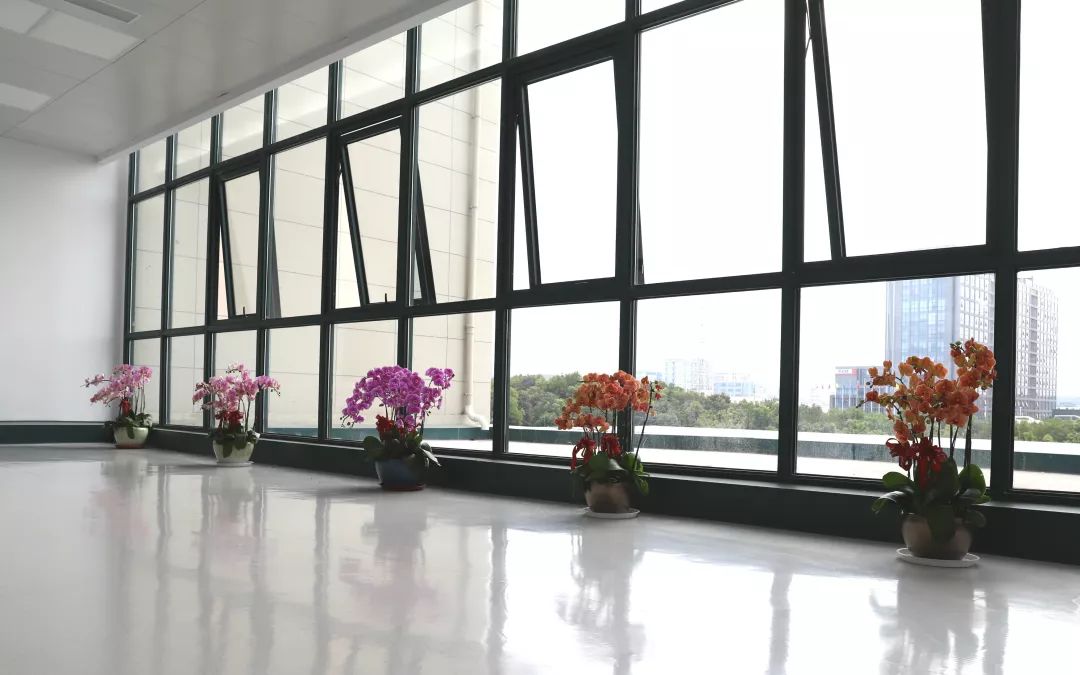 冬雷脑科医院口碑怎么样,青浦区冬雷脑科医院