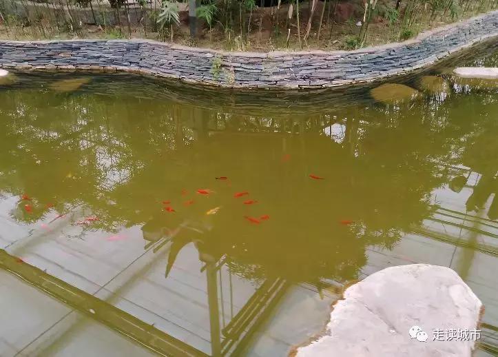 走读城市之廊坊安次(八):九天休闲谷