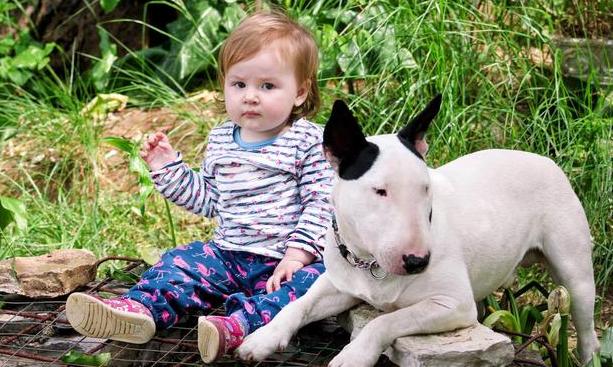 孩子做题总是漏看和看错怎么办,孩子做题总出错怎么回事