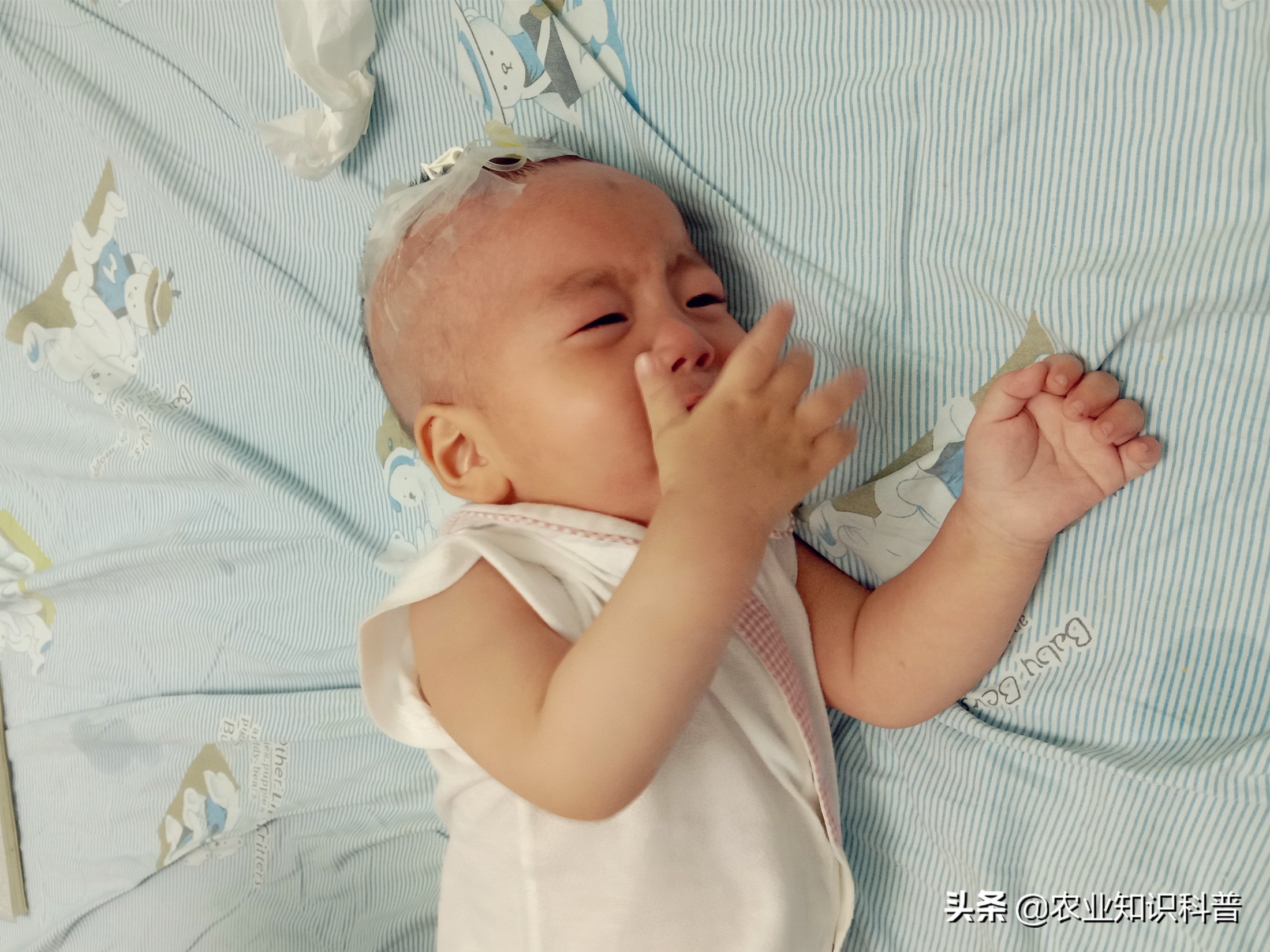 10个多月宝宝得病后续,10岁男孩患重病