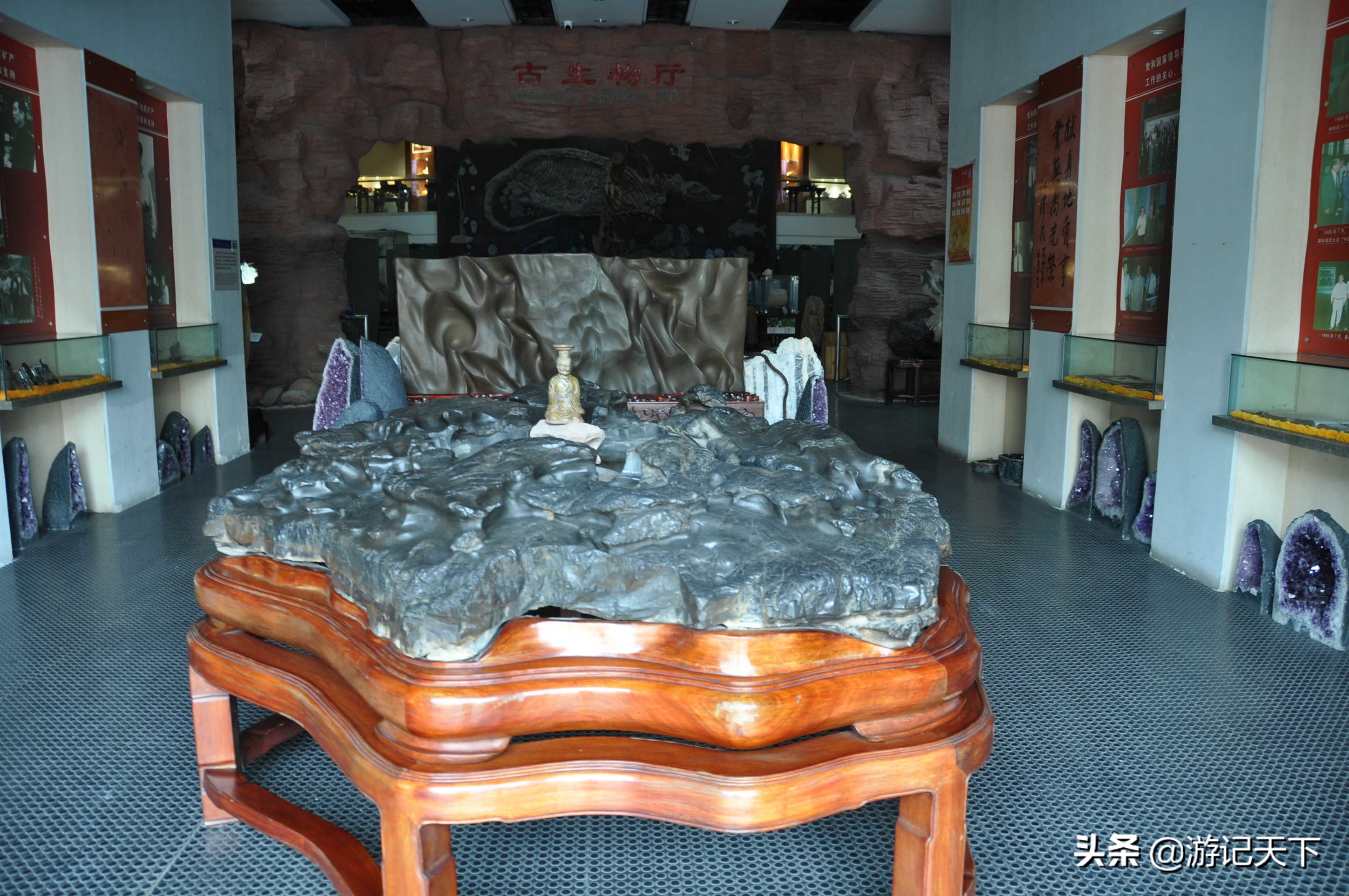 阿尼亚参观博物馆,上海地质科普馆游玩