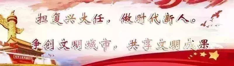 童教授最新视频,不一样的专家教授