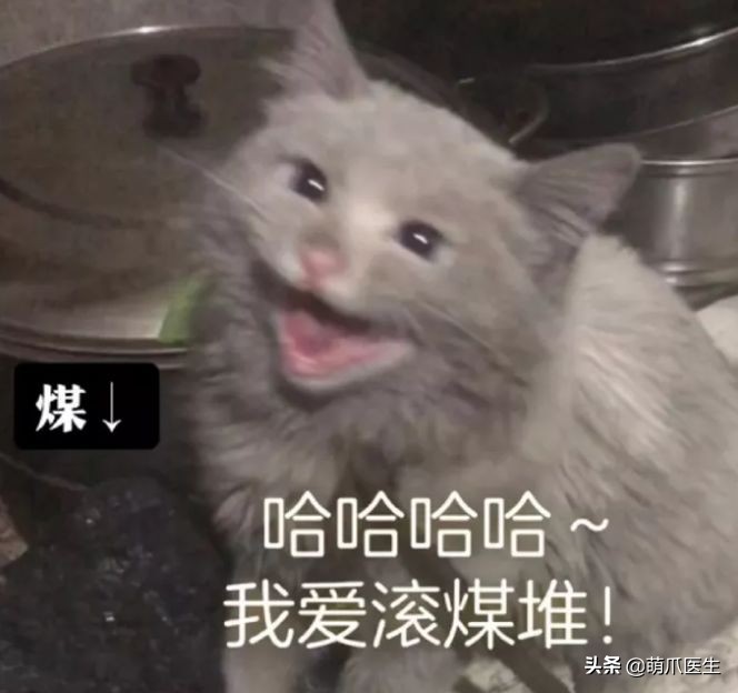 我就是馋猫的身子，没别的！