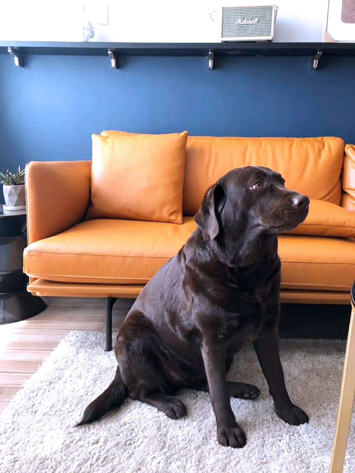 凹户型改造,凹户型老房子怎么改造