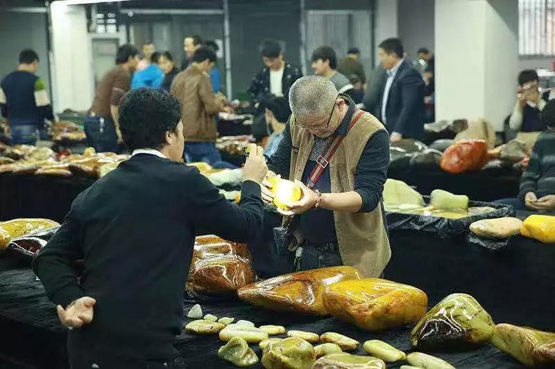 被捧红的各类新玉种究竟什么来头,目前的新玉种有多少