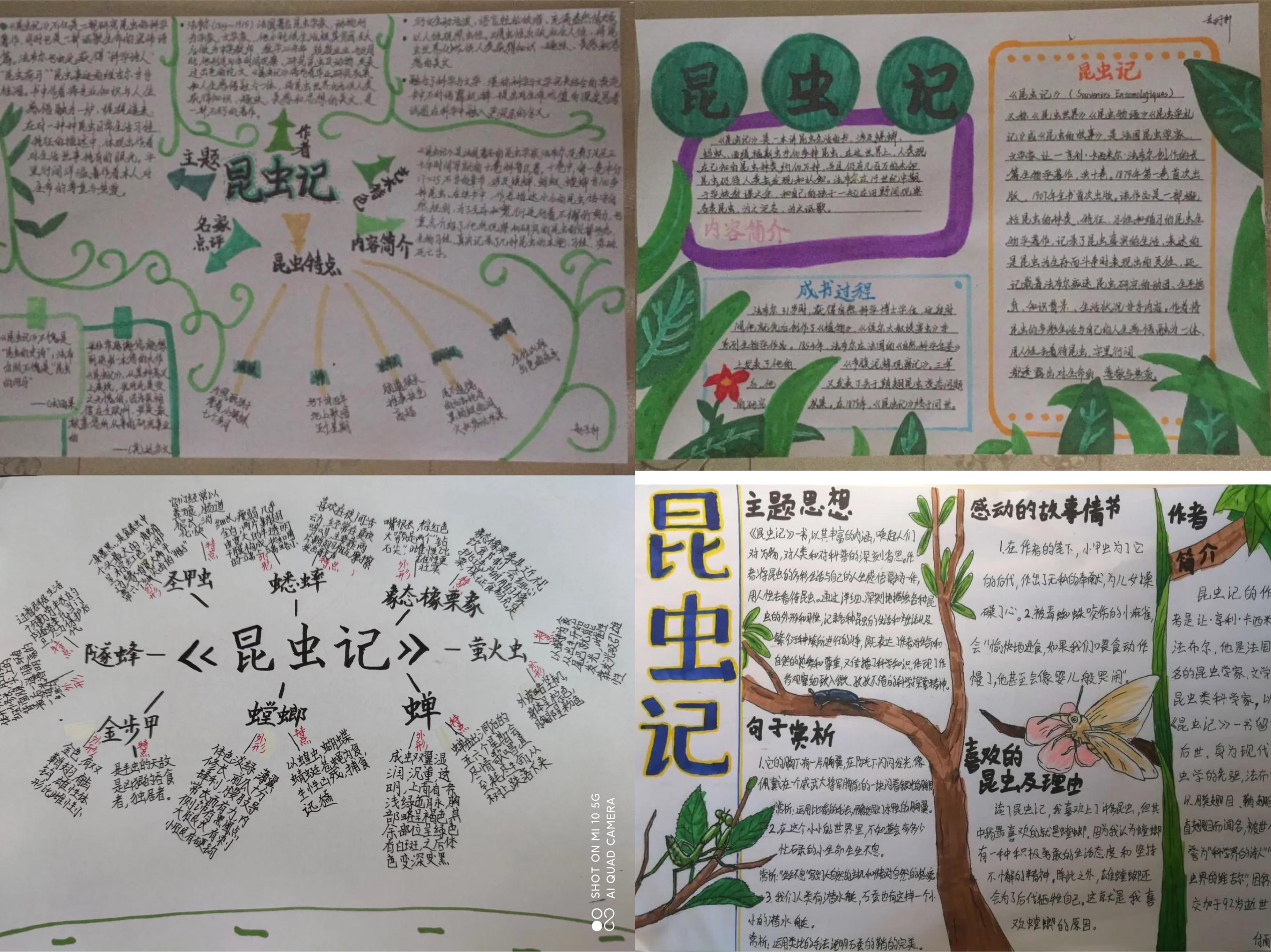 走进名著画经典思维导图,初中课外书必读名著12本思维导图