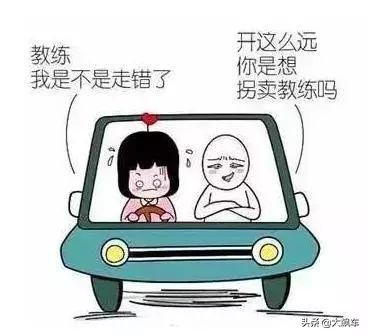 学车的心酸感悟,学车悲惨经历