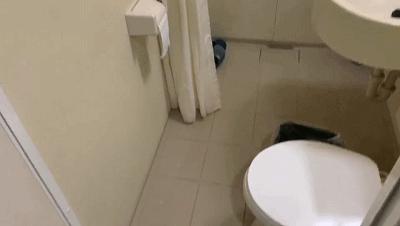 如家七天,如家7天快捷连锁酒店哪个好