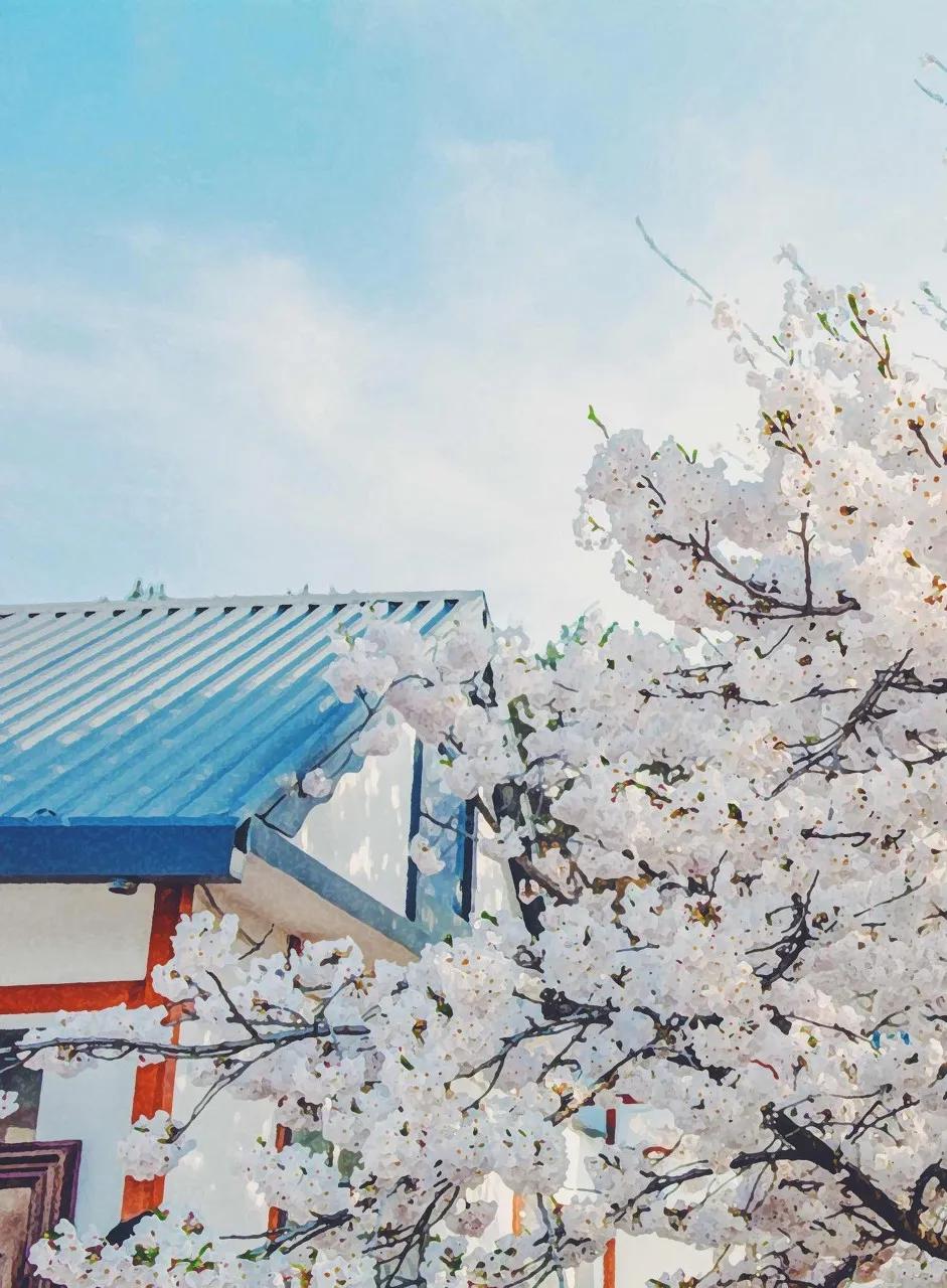 美过三亚!比厦门浪漫!中国这座海滨老城,去一次相当环游世界!