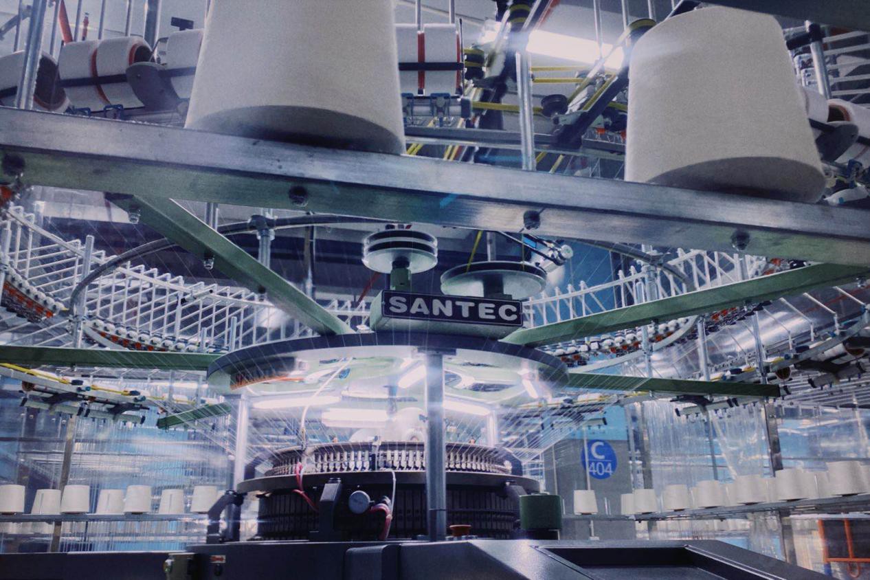 一口吃掉蓝鳍金枪鱼中腹,一口吃掉了亚马逊河所有鱼