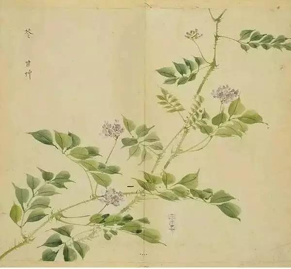 五千年来最美的20首诗,100首美到窒息的诗句