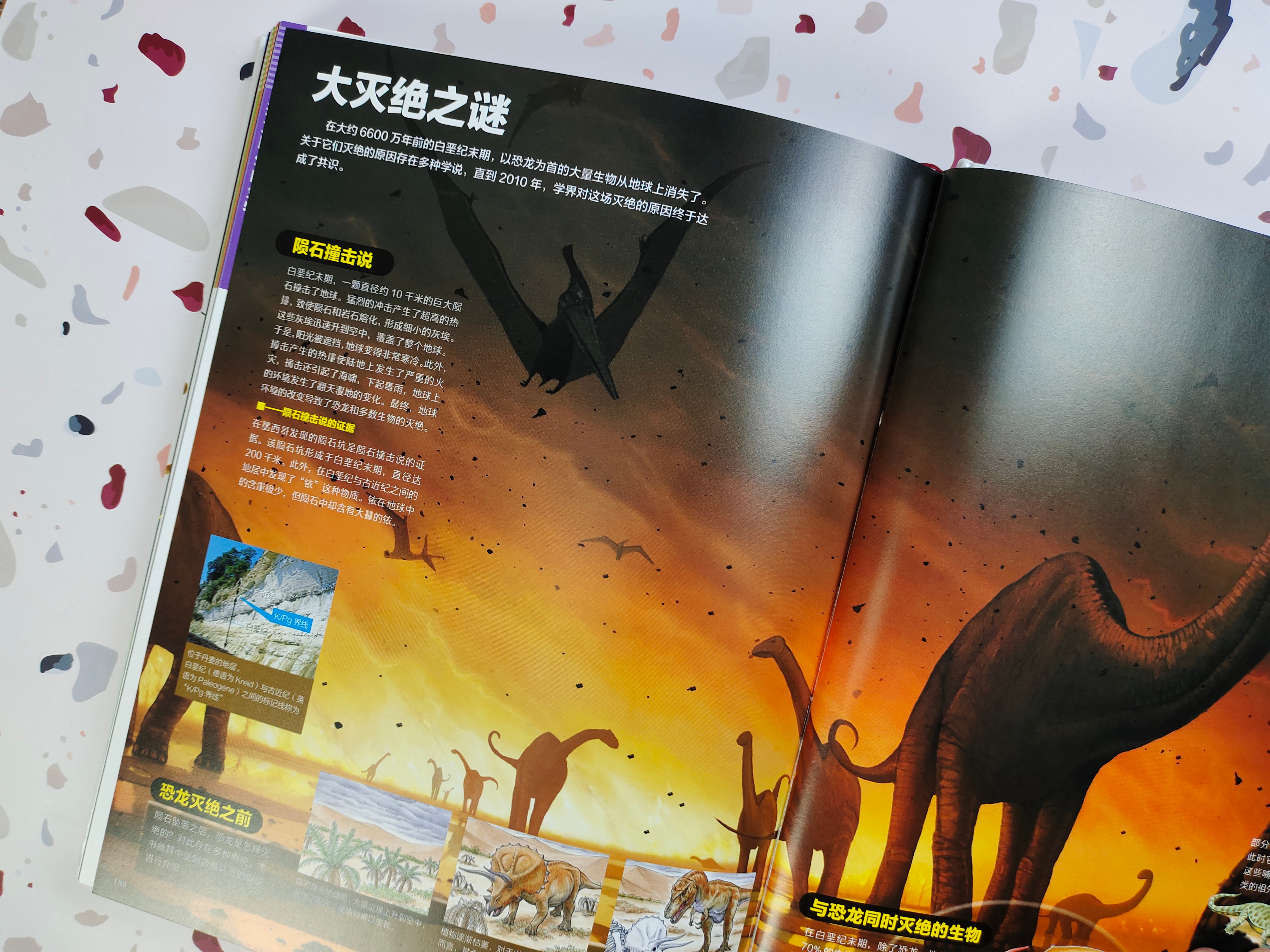 世界上知识点最全的恐龙百科全书,恐龙百科全书恐龙世界的无穷奥秘