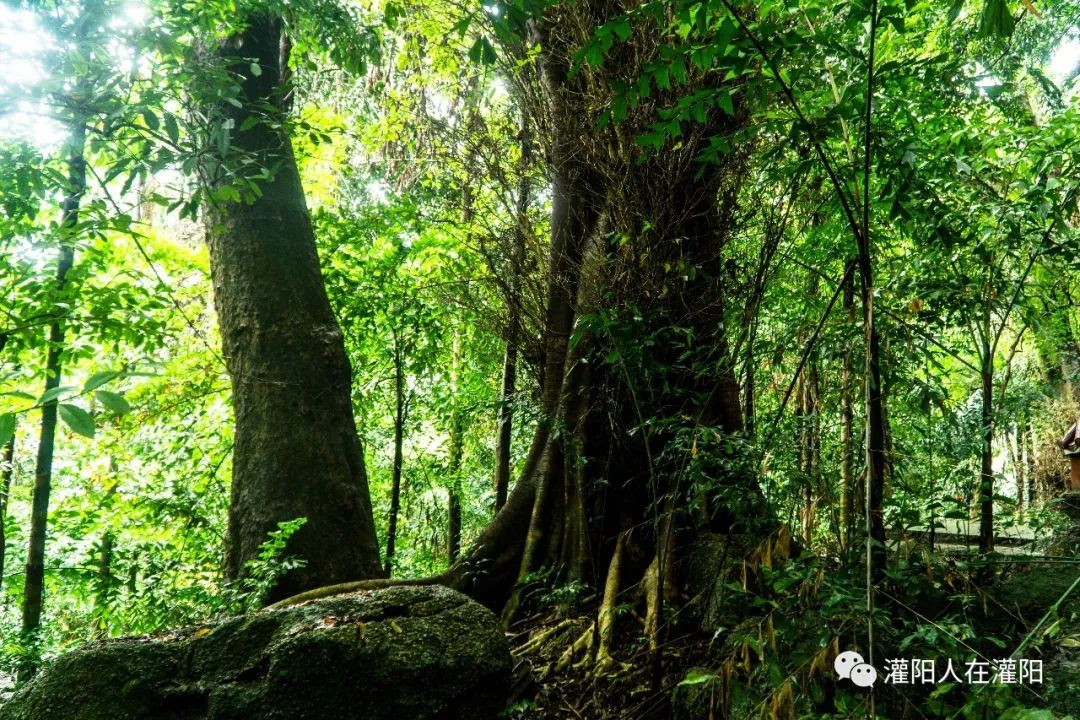 广西桂林灌阳县旅游,灌阳人在柳州