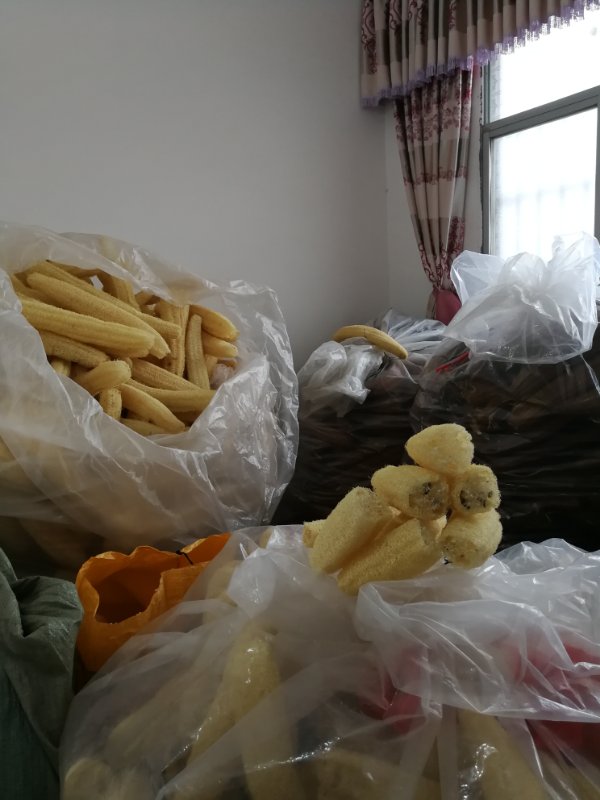 农村人都不要的丝瓜络她卖了6年，回家盖小楼，还花70万市区买房