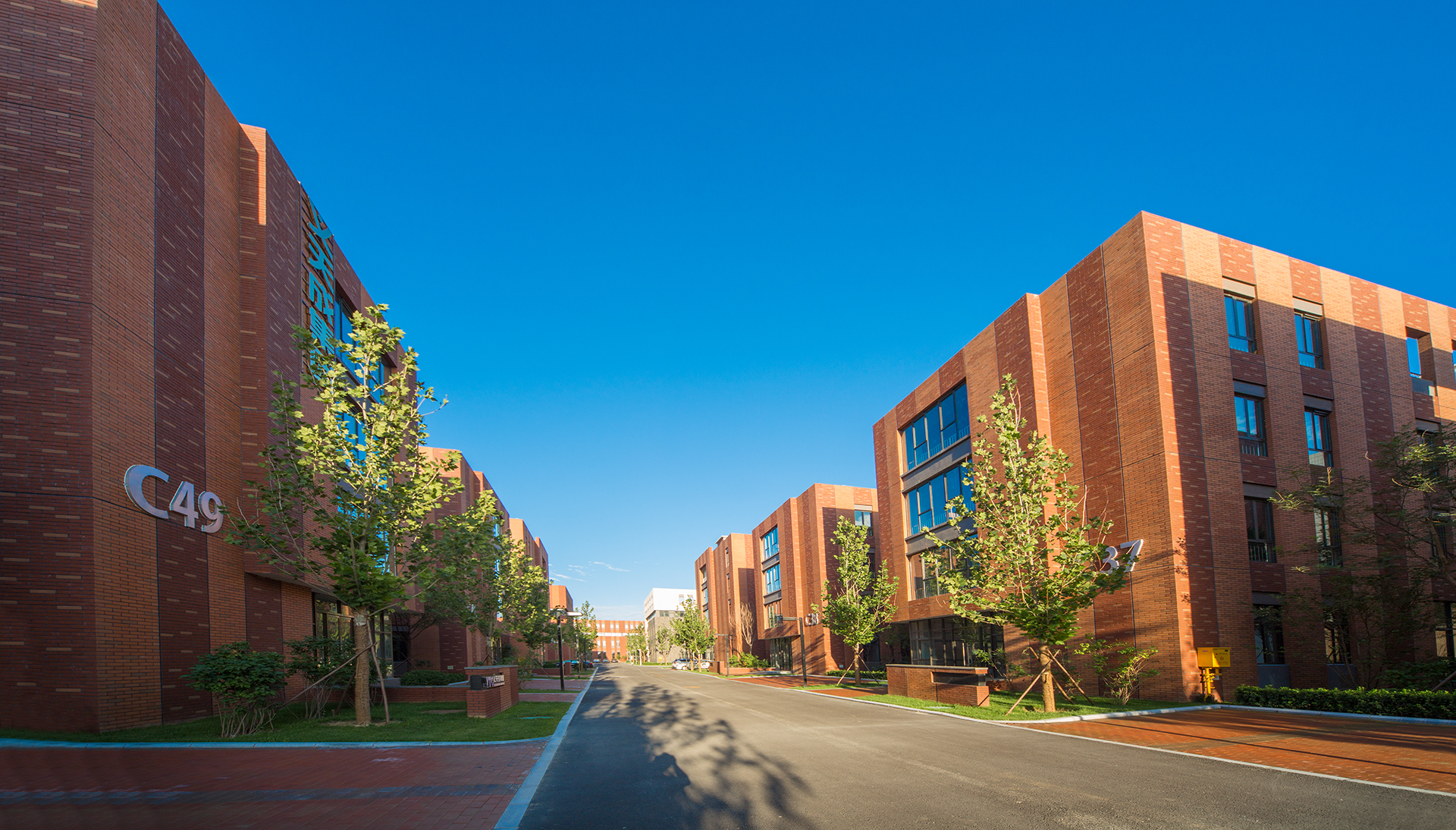 深度解析隆基泰和,隆基泰和地产现状及分析