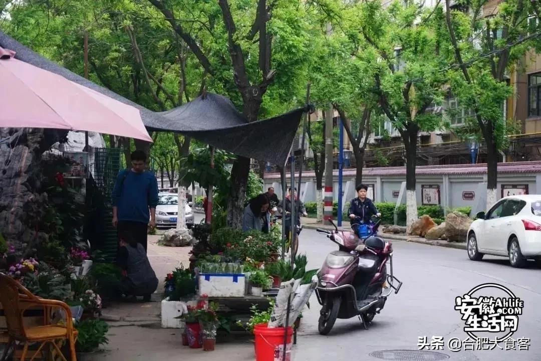 2020年，在这50个地方遇见不一样的合肥