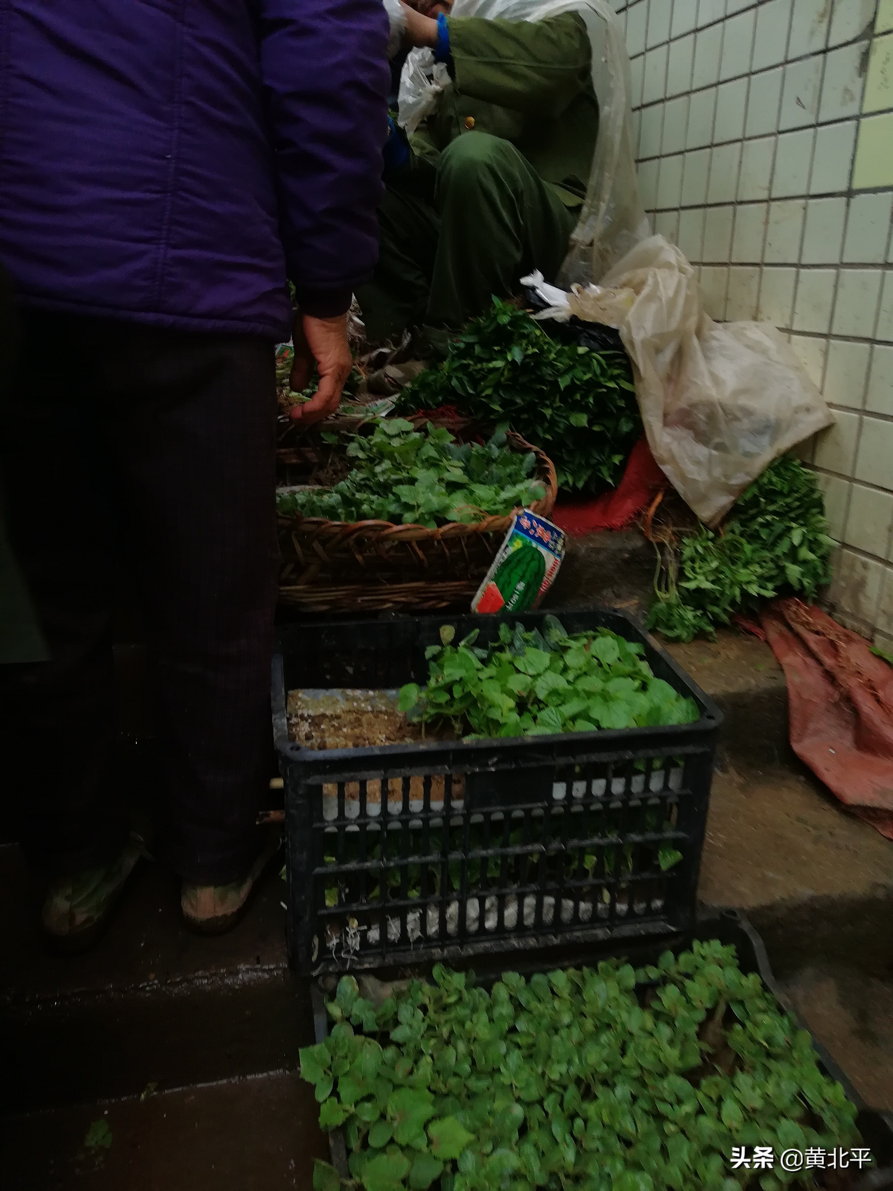 重庆合川大石镇赶场,重庆合川区三汇赶场