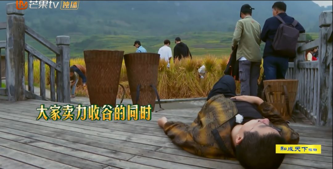 李诞懒蛋,李诞懒惰合集