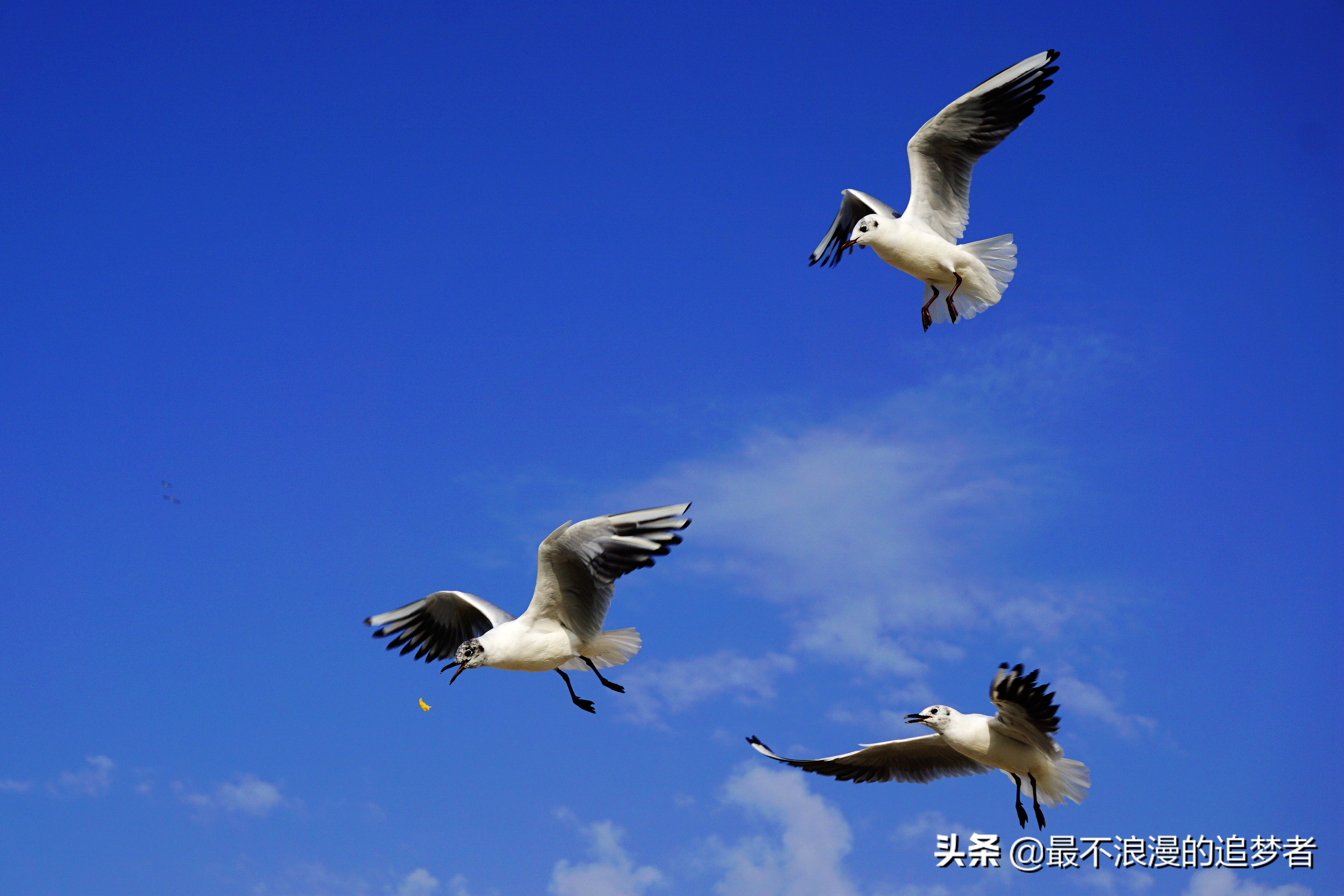 阿联酋迪拜的旅游感想,阿联酋迪拜旅游攻略