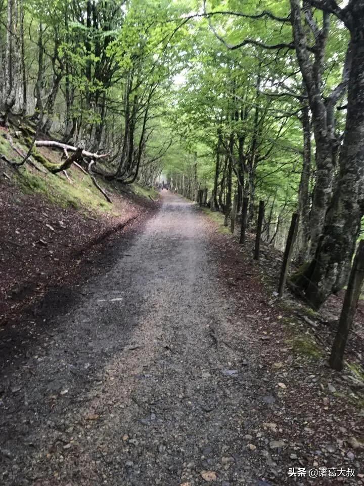 不曾走过怎能懂,不曾走过怎么能懂