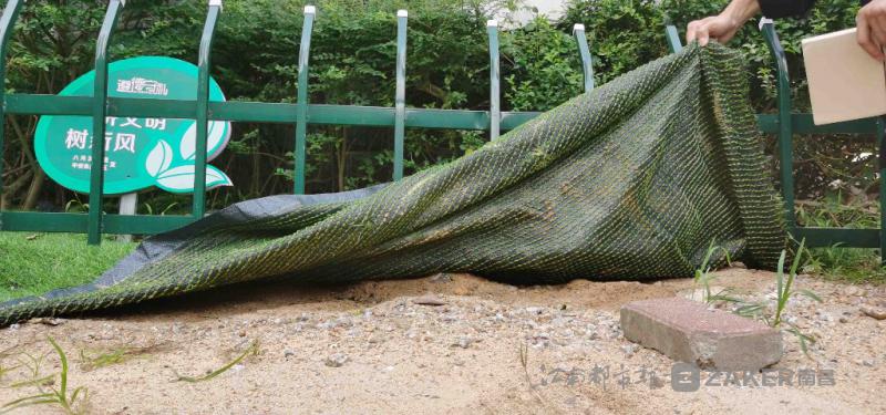 南昌绿地绿化,南昌绿化比较好的小区