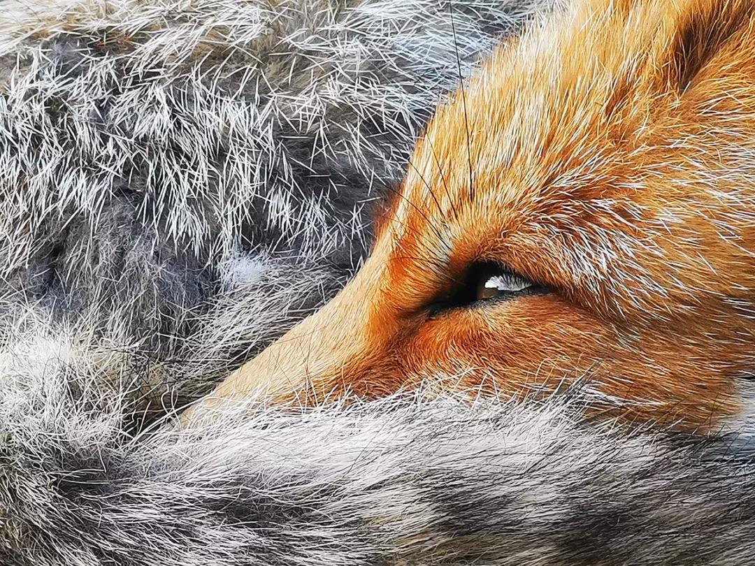 华为p30的镜头模组叫什么,华为p30镜头是蓝宝石的吗