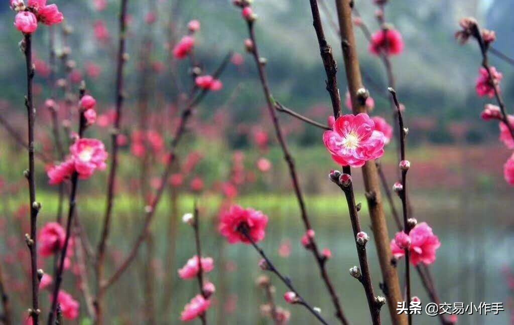 期货股票交易之道,期货之道实战
