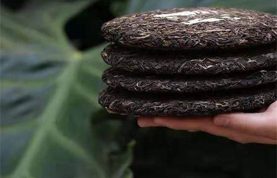 普洱茶怎么会硬得像块砖头?这个问题已经有超过100人来问了