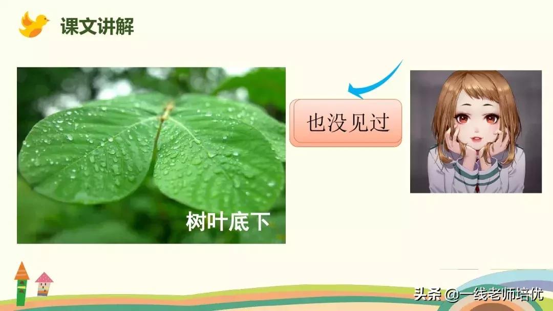 部编版蝴蝶的家课后练习及答案,四年级上册第8课蝴蝶的家全文