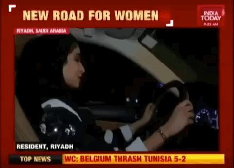 沙特对埃及石油的看法,沙特对红海危机的态度