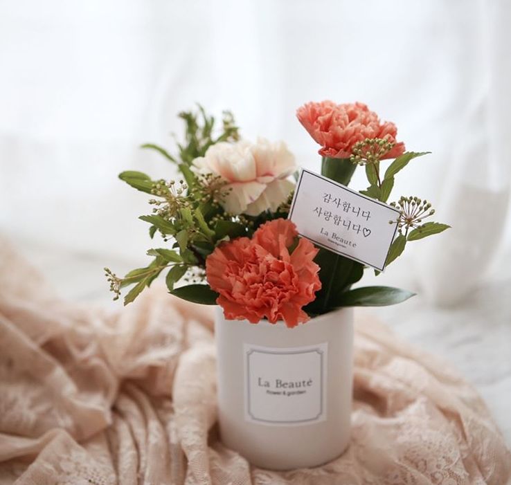 康乃馨插花教程母亲节花篮,母亲节一朵玫瑰四朵康乃馨插花