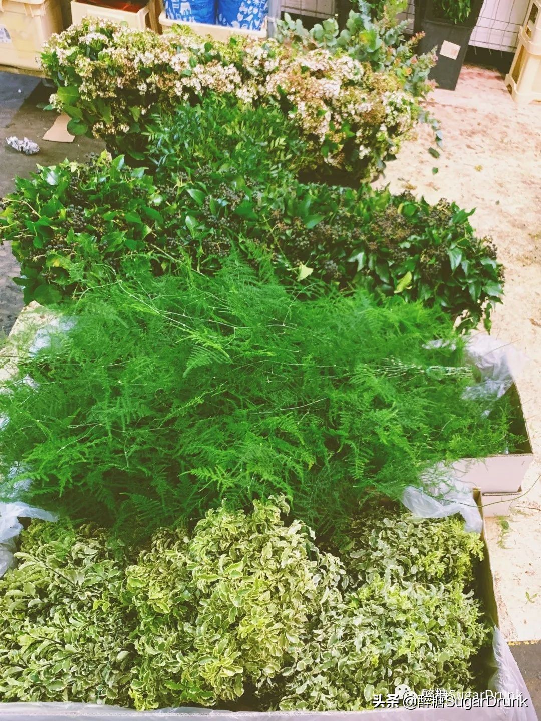 欧洲最大小商品批发市场,欧洲最大批发食品市场