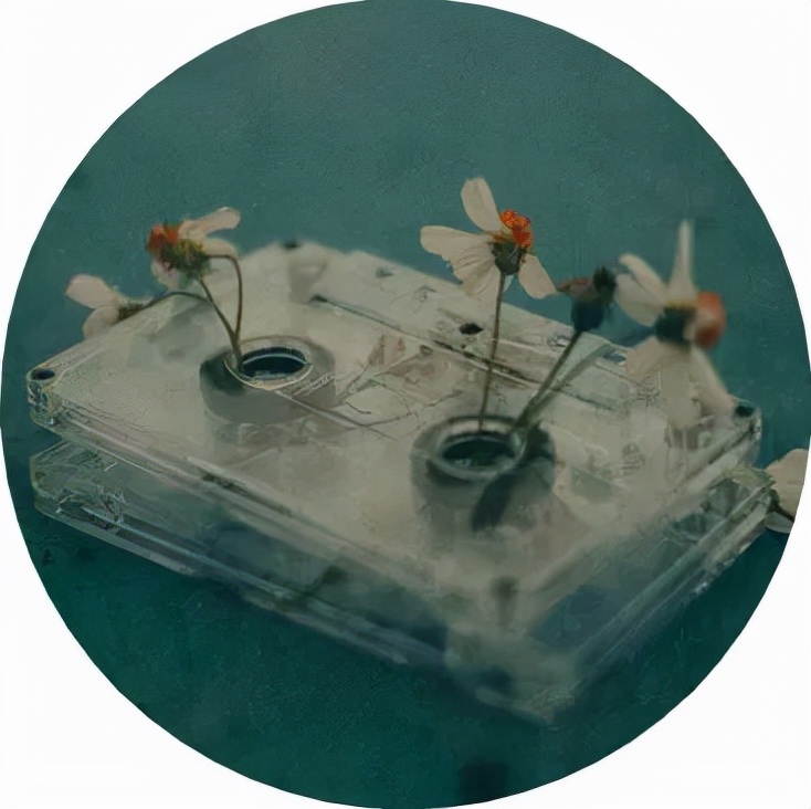 中年以后的日子一切随缘,人到中年不必再纠结得失