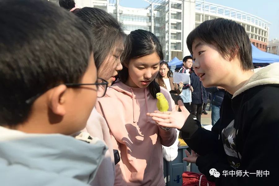 华师一校园开放日,华师一附中开放日活动