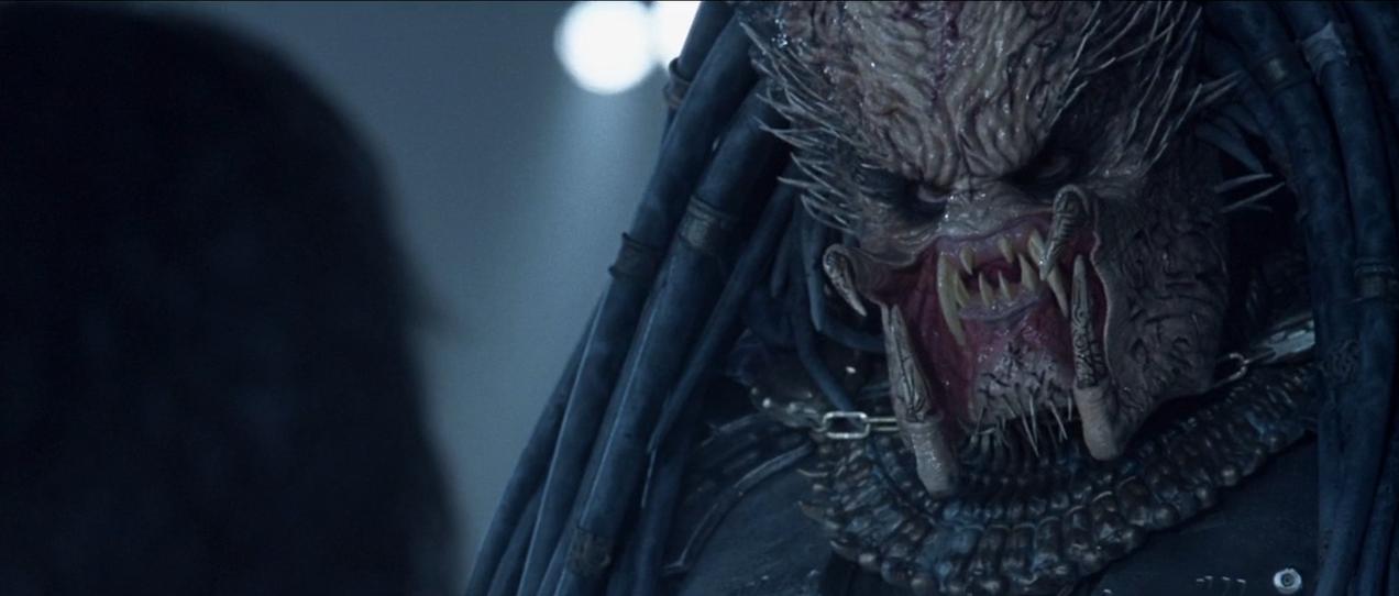 铁血战士系列解析,铁血战士形态全部解析